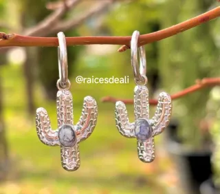 Pendientes de acero inoxidable.