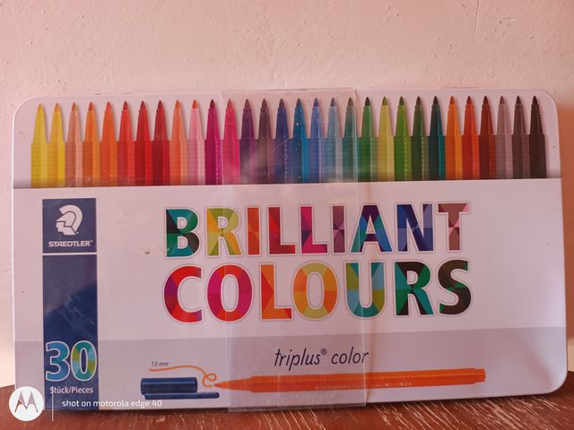 Rotuladores Staedtler Triplus Color 30 -precintado