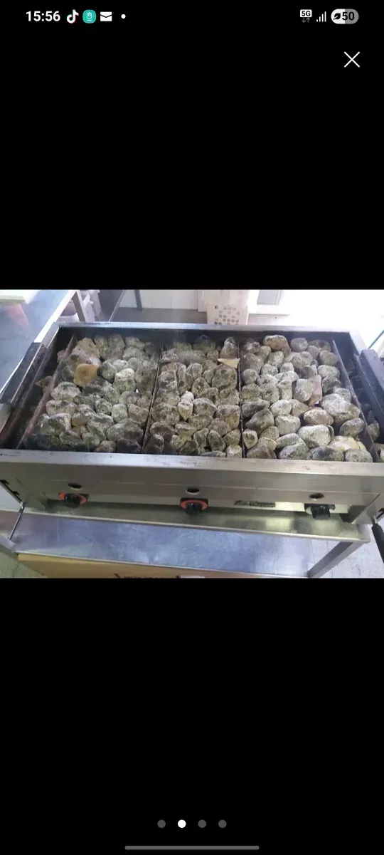 Barbecue professionale in buone condizioni