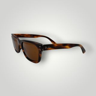GAFAS RAY-BAN MR BURBANK + FUNDA