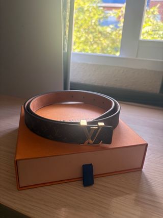 Cinturone Louis Vuitton Marrone e Dorato