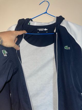 Conjunto Deportivo Lacoste Azul y Blanco