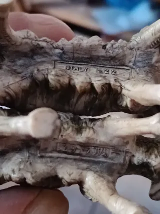 Pastori presepe in legno