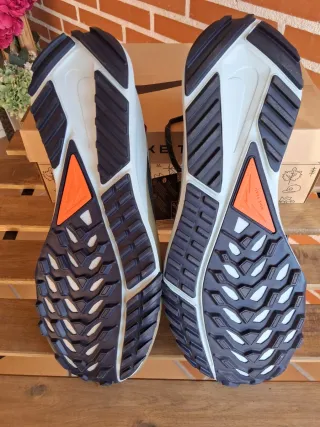 Nike Pegasus Trail 4 Gore-Tex V2 HM9728-300