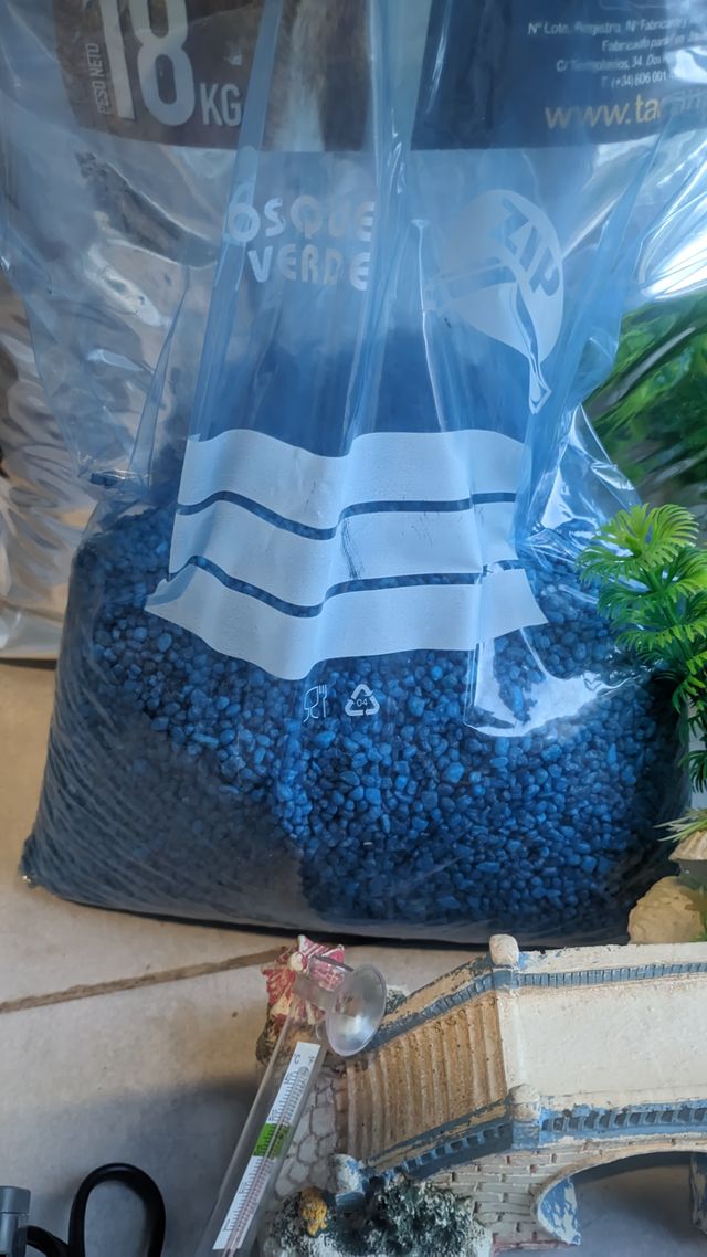 Acuario para principiantes con accesorios