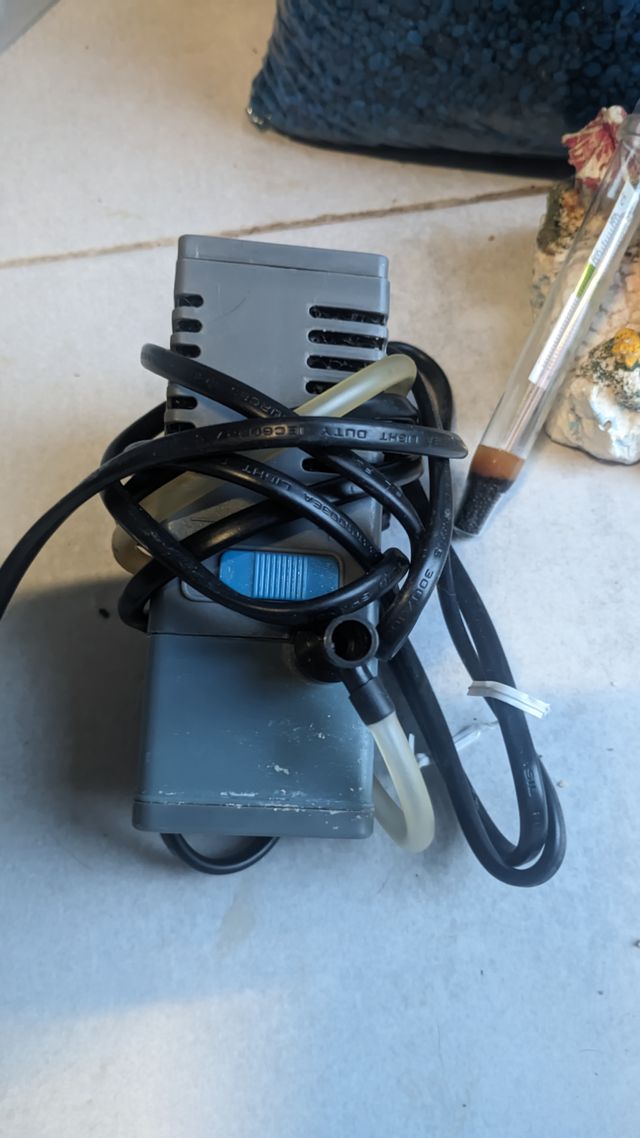 Acuario para principiantes con accesorios