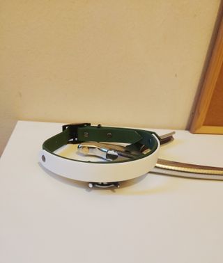 Collare bicolore cane taglia media (32-48 cm)