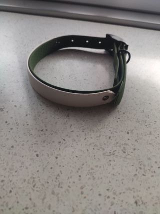 Collare bicolore cane taglia media (32-48 cm)