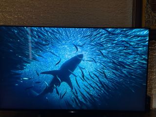 Smart TV Sony Bravia 49 KD-49XD8005