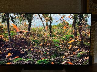 Smart TV Sony Bravia 49 KD-49XD8005