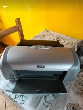 Stampante Epson Stylus Photo R220