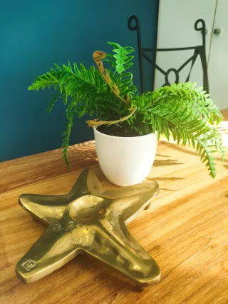 Portacandele Stella David Marshall