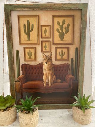 Cuadro verde coyote entre cuadros cactus