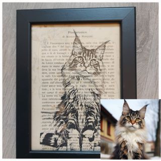 Quadro Gatto Maine Coon Personalizzabile