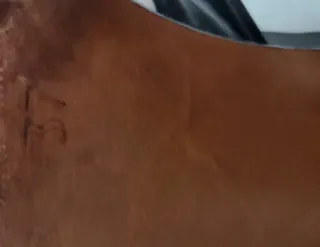 Zapatos Lanvin T-Strap Rayas Blanco y Negro