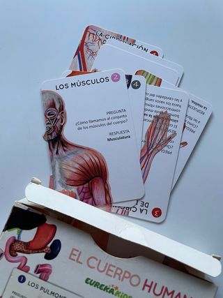 El Cuerpo Humano Eurekakids Juego de Cartas +6