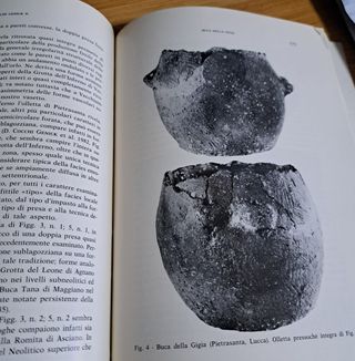 L'Età dei Metalli nella Toscana Nord-Occidentale