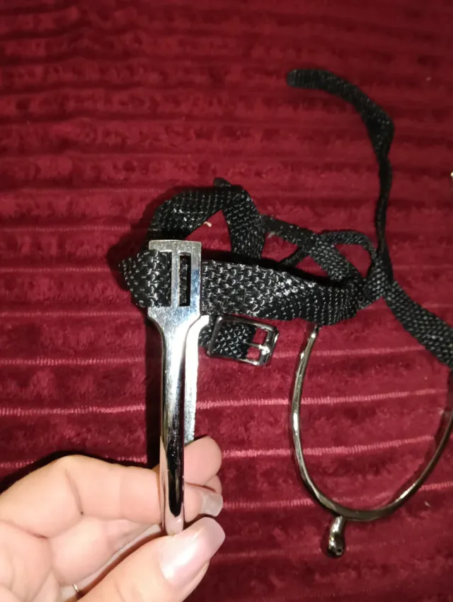 Speroni da cavallo con cinghie Nuovi