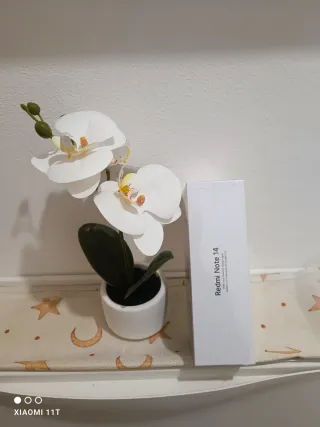 Xiaomi Redmi Note 14