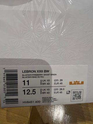 Nike Lebron XXII Bryce's World Talla 45