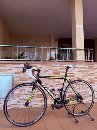 Bicicleta De Carretera Steven🇩🇪