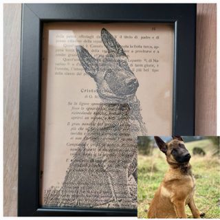 Quadro cane Malinois personalizzabile