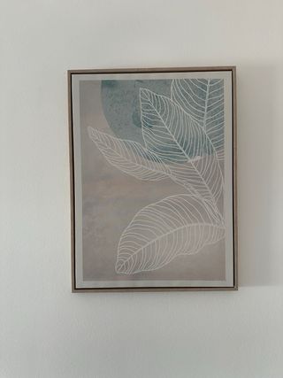 Pareja de cuadros decorativos