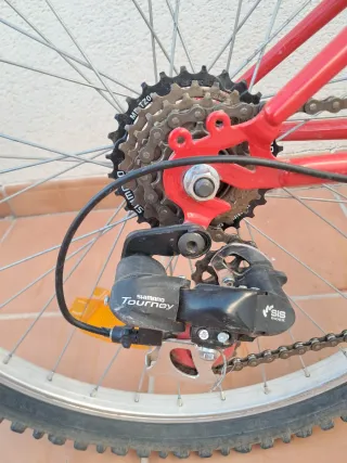 Bicicleta Orbea Loop Roja