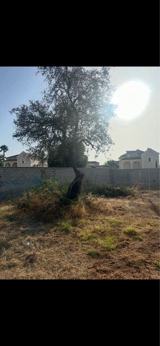 parcela en la carrera del caballo (doña Manuela)