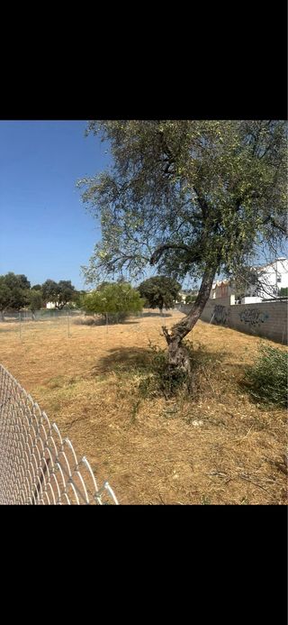 parcela en la carrera del caballo (doña Manuela)