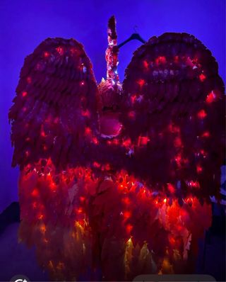 2 Costumi di Carnevale Fenice Alata