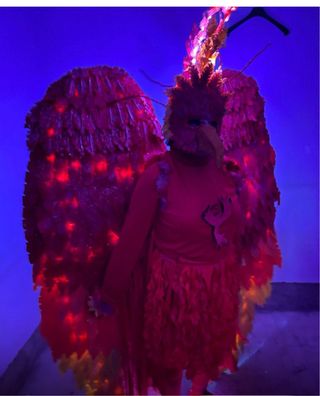 2 Costumi di Carnevale Fenice Alata