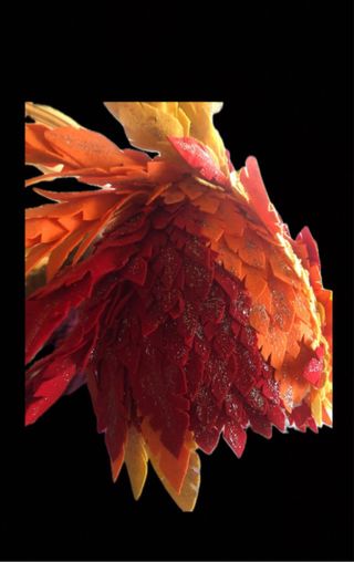 2 Costumi di Carnevale Fenice Alata