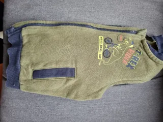 Sudadera Lupilu T-Rex 98/104