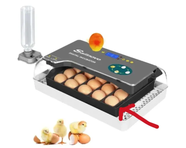 Incubadora Sailnovo 20 Huevos