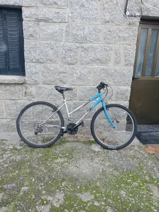 Bicicleta Boomerang Crossway