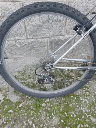 Bicicleta Boomerang Crossway