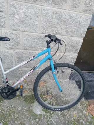 Bicicleta Boomerang Crossway