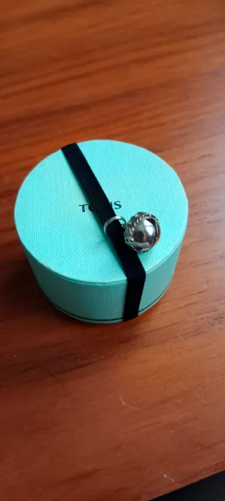 Pendientes Tous Oso Plata y Piedras