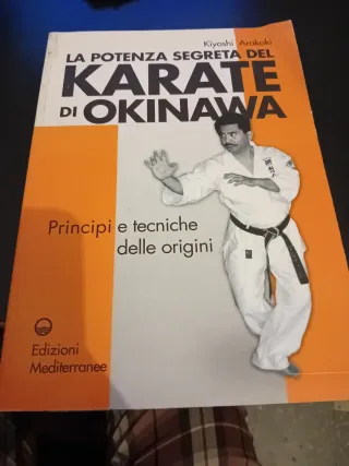 La Potenza Segreta del Karate di Okinawa