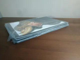 Lote Comics Mutantes