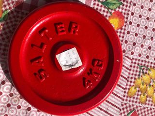 Discos Salter Mancuerna 2ud x 4kg