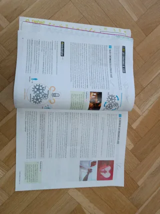 Proyecto: FanFest - Religión Católica 4 ESO