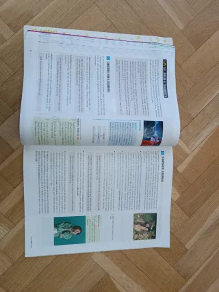 Proyecto: FanFest - Religión Católica 4 ESO