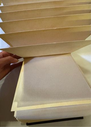 Album foto effetto pelle con leone rampante.