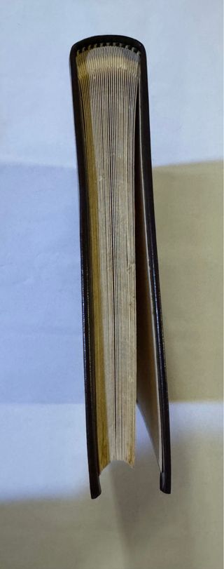 Album foto effetto pelle con leone rampante.