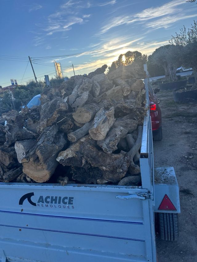 Leña para chimenea o barbacoa
