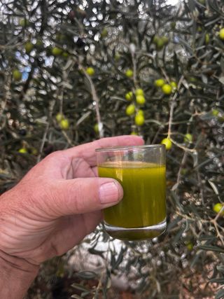 Servicio de molino para aceitunas