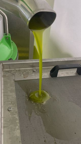 Servicio de molino para aceitunas