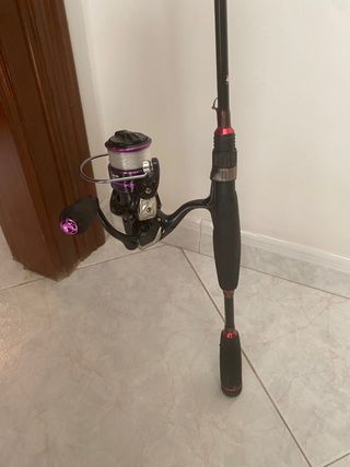Caña de spinning + carrete